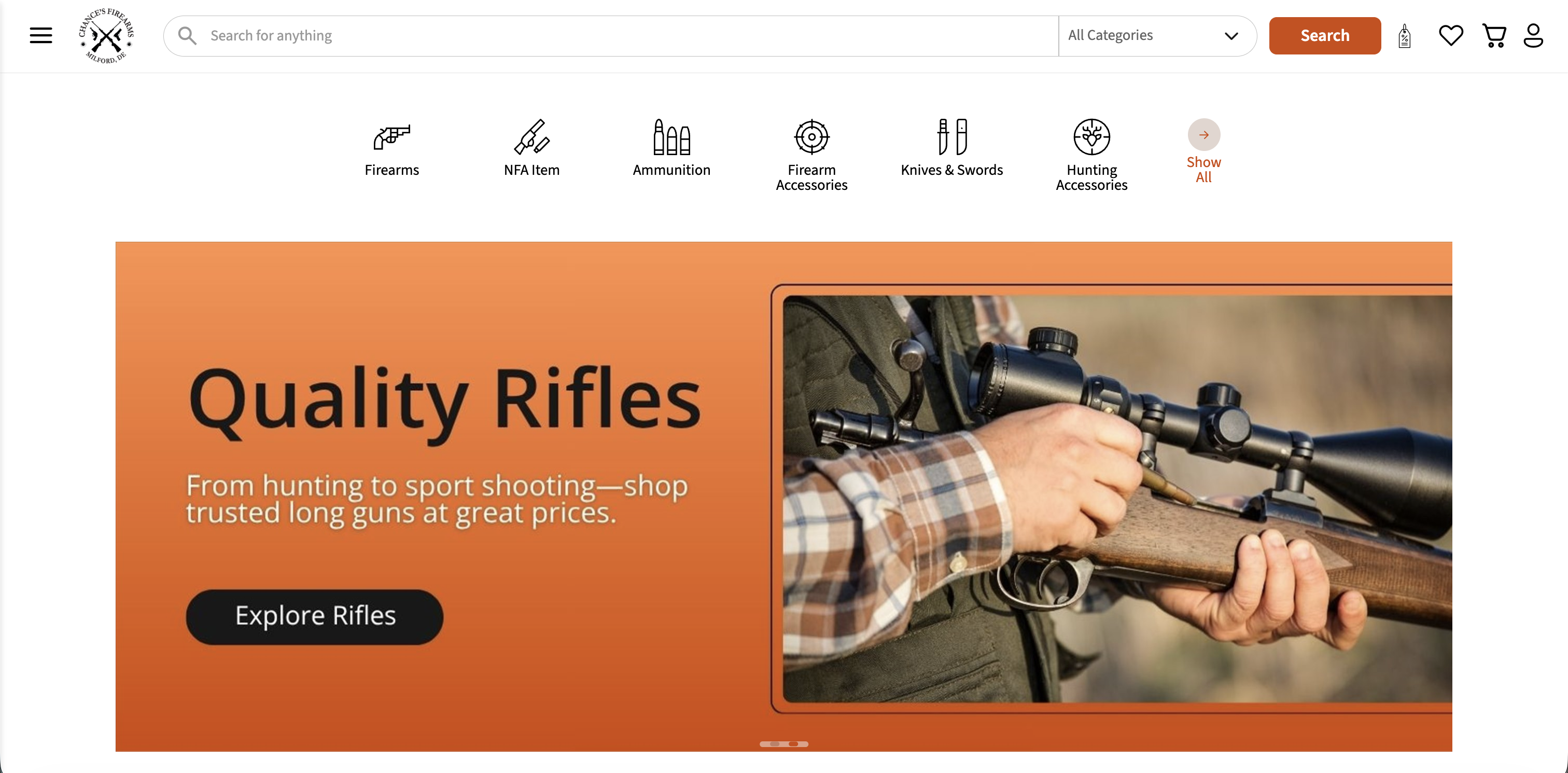 Chances company-branded website example